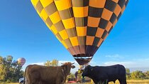 Balloon Flight over Teotihuacan with Breakfast in Cueva