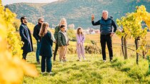 Wachau Valley Private Wine Tour with Tasting and Gourmet Lunch