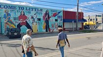 La Perle de Miami: Little Haiti History, Culture, Tour