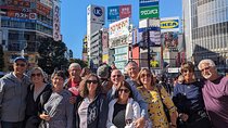 Tokyo VIP Guided Private Car Tour with Optional Airport Transfer