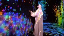 TeamLab Phenomena Abu Dhabi Experience with Optional Transfers