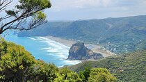 Private Auckland best Spots + Piha beach and rainforest day Tour