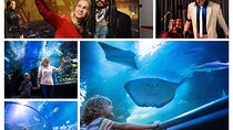 Antalya: Aquarium Ticket With Optional Transfer