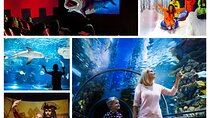Antalya: Aquarium, Wax Museum & Combo Package Options