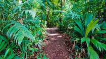 Self Guided Rainforest Hike at Monkey Park