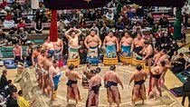Osaka Sumo Tournament Entry Ticket and Guided Tour