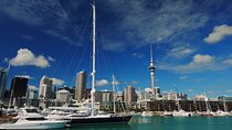 Private Auckland City Highlights Tour