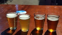 Craft Beer Tasting Experience Sensory Guided Tour in Sorrento