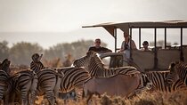Cape Town inverdoorn Safari overnight