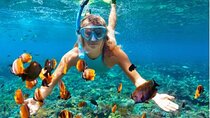 Sosua Snorkeling Adventure Tour with Guide and Gear Included