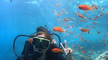  Scuba Diving Full Day For Beginners in Hurghada