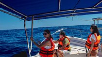 Cabo San Lucas Arch Private Boat Tour