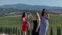 Private Tuscan Vineyards Experience: Full Day in Chianti
