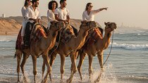Luxury 4 Hour Private Tour of Tangier with Camel Ride