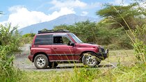 Day Safari to Arusha National Park in ‘Little Red Rover’ 