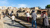 Herculaneum Guided Group Tour from Naples