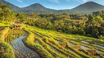 Exploring Bali in 4 Days: Drive Further to Countryside of Bali