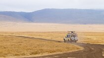 2-Day Private Tarangire and Ngorongoro Safari