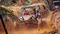 Ubud UTV Buggy Adventure with Lunch and Return Transport 