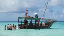  Safari Blue Shared Tour Zanzibar Experience