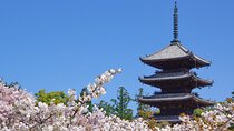 Kyoto: Ninna-ji, Stunning Pagoda and Gardens Tour in 1.5h