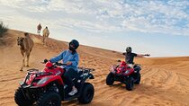 Desert Adventure: Quad & Camel Ride Safari from Sharm El-Sheikh