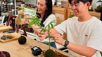 Create your own kokedama in a Navigli workshop with an expert