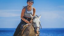 Hurghada Desert and Beach Horse Riding Tour: 2 Hours