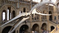 London Walking Tour Natural History Museum