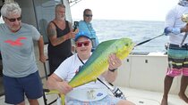 Extreme Fishing in the High Seas Punta Cana