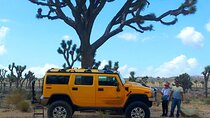 H2 Hummer Private Tour in Joshua Tree National Park