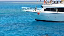 Majestic Dolphins Sea Adventure, Snorkeling, Lunch & Transfers