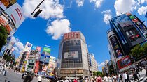 Tokyo: Shinjuku & Shibuya Walking Tour – City Highlights