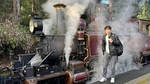 Puffing Billy Steam Train Rainforest Tour and Yarra Valley Treats