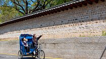 Seoul Bukchon Heritage Tour with Pedicab and Workshop