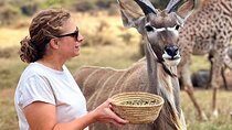 Arusha Serval Wildlife Sanctuary Tour with Pickup