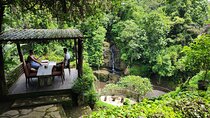 River Walk with Waterfalls and Cliffside Lunch Ubud Hidden Gems