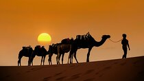 Three Days Desert Tour from Marrakech to Merzouga