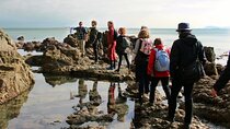 Howth Safari Hiking Tour - PRIVATE