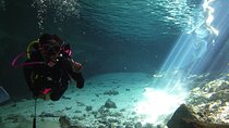  Tulum Cenote DOS OJOS Unforgettable Scuba Dive Tour