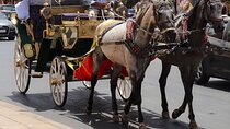 Carriage Tour In fez
