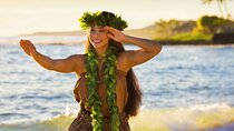 Oahu Circle Island Tour Snorkeling Dole Plantation and More