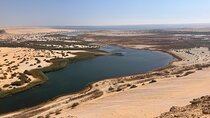 Full Day Fayoum Oasis Wadi El Rayan Waterfall and Magic Lake Tour
