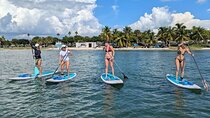 Miami Biscayne Bay Paddle