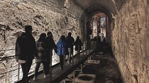 Colosseum Underground Tour with Access to Roman Forum and Palatine Hill
