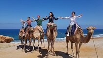 4 Hours Moha Private Tangier Tour 