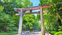 Tokyo 6 Hour Meiji Jingu & Omotesando & Shibuya Private Tour 