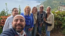 Private Tour of the Cinque Terre from Livorno Port