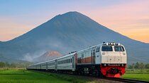 Mount Bromo and Ijen Crater Tour with Train