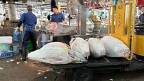 Adachi Fish Market Tour in Tokyo